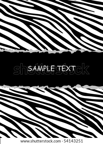 Zebra Background on Zebra Background Stock Vector 54143251   Shutterstock