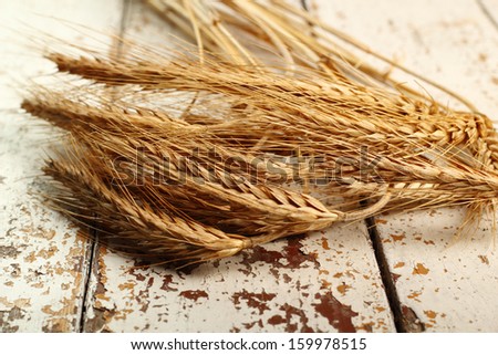 Rye (Barley) Ears