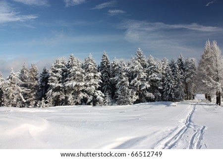 Winter Sunny Day