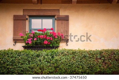 Flower Lined Window