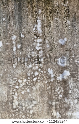 Patterns for backgrounds and textures.  Old wall.  St. Augustine, FL, USA.