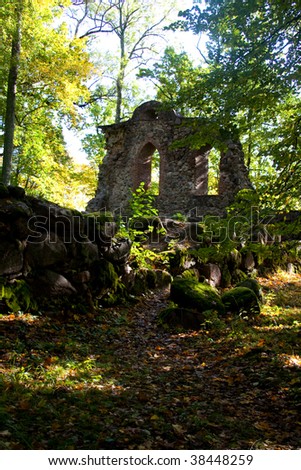 old castle ruins placed at forest