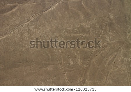 Nazca Lines, Aerial View, Peru, The Monkey