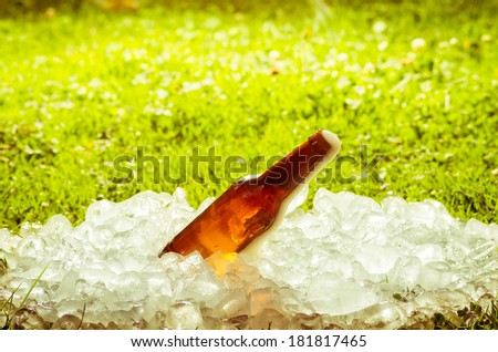 beer in a pile of ice outside