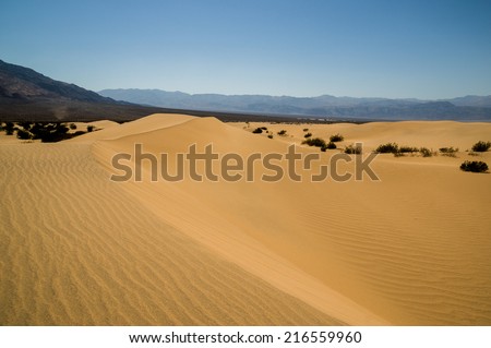 sand dune ripples landscape with mountains in the background Death Valley National Park