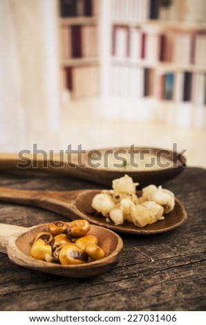 hominy and toasted corn nuts mote with tostado an aji sauce on wooden spoons ecuadorian traditional food selective focus