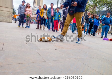 BOGOTA, COLOMBIA - FEBRUARY 25, 2015: Guinea pig street gambling one animal is running towards its flock after it chose colorful upturned plastic bowl and crowd awaits anxiously for new bets at