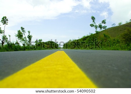 paved road with yellow stripes crossing a rain forest