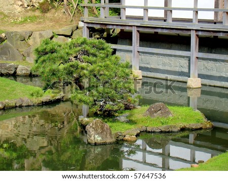 A bonsai tree in Kencho-ji, one of the Kamakura Five Great Zen Temples (Gozan) and oldest Zen training monastery in Japan