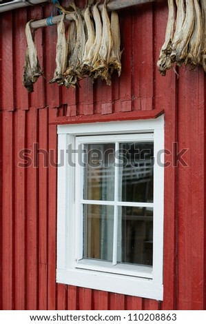 Dried cod hanging on a fishing hut in the village Henningsvaer, Lofoten islands region, Norway