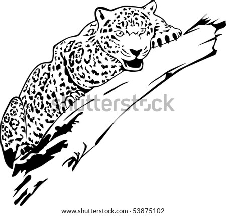 Jaguar on Jaguar Illustration   53875102   Shutterstock