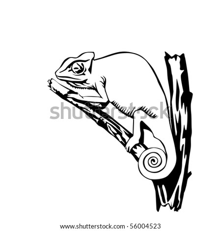 Black And White Chameleon Illustration - 56004523 : Shutterstock