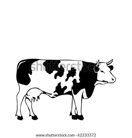 Black And White Cow Vector Illustrator - 62233372 : Shutterstock