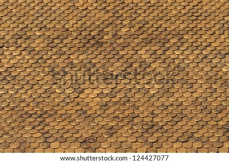 Golden Roof Tiles Pattern (close-up)