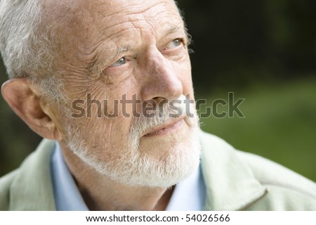 Closeup Profile on an Old Man With a Grey Beard