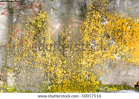 Grunge texture / background on a cracked stone wall with splashes of paint.