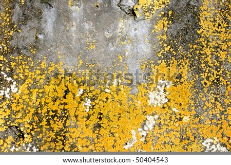 Grunge texture / background on a cracked stone wall with splashes of paint.