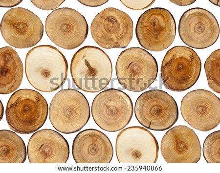 Cut tree stumps background or texture - duplicate vertical and horizontal