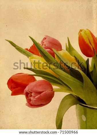 Tulips textured