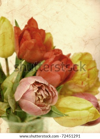 Tulips textured background
