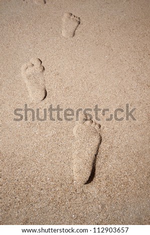 Line of footprints on the beach.  Optical illusion makes the prints look as if they are coming out of the sand, like looking from beneath.
