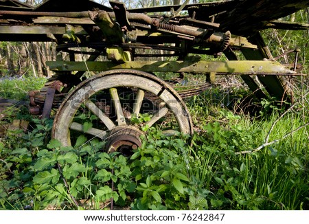 Remains of an old cart surrounded by lush spring growth in an ancient English wood.