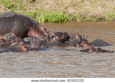 Masai River