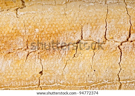 Macro of the underside a french loaf showing the texture of the crust baked brown and golden , cracked and sprinkled with flour