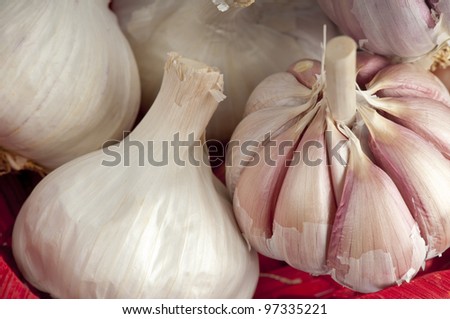 Macro of a head of garlic showing the plump, purple cloves and white leaves,