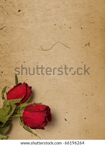 Old paper with roses - room for text or images