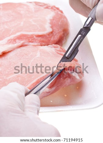 Researcher in lab takes sample of a piece of meat