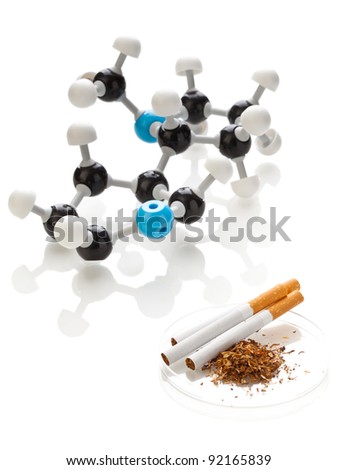 nicotine model