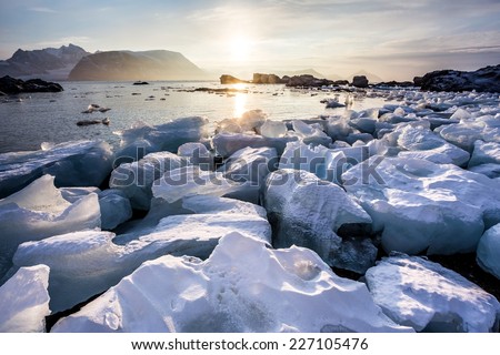 Arctic fjord landscape - ice on the shore - Spitsbergen