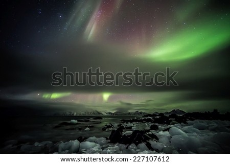 The aurora borealis or the northern lights over the Arctic fjord