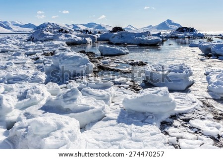 Arctic winter landscape - frozen fjord