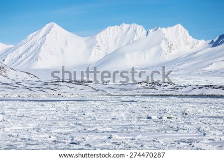 Arctic winter landscape - frozen fjord
