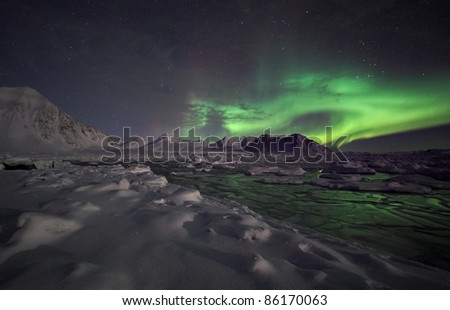 Typical Arctic winter night landscape - Northern Lights