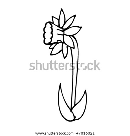 stock vector : drawing of a daffodil