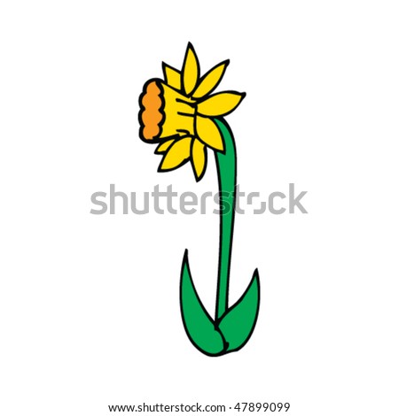 stock vector : daffodil drawing