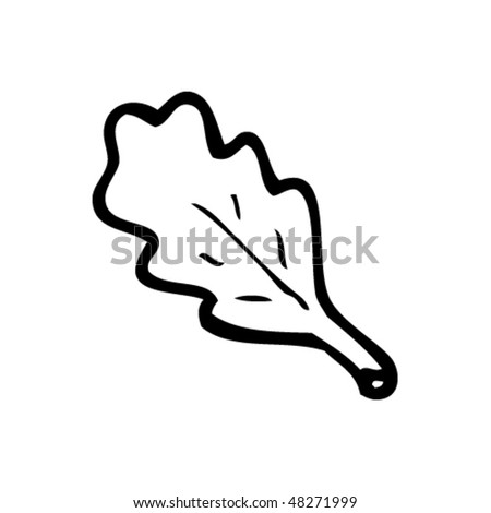 Drawing Of An Oak Leaf Stock Vector Illustration 48271999 : Shutterstock