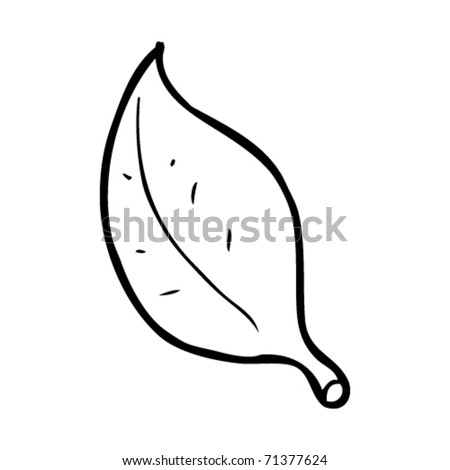 Leaf Cartoon Stock Vector Illustration 71377624 : Shutterstock