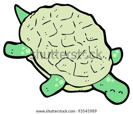 Turtle Cartoon Pictures