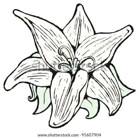 cartoon flower lily
