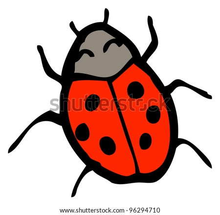 Cartoon Ladybird Stock Photo 96294710 : Shutterstock