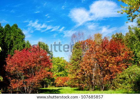autumn garden with white clouds in blue sky