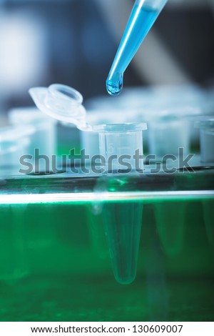 workplace modern laboratory for molecular biology test
