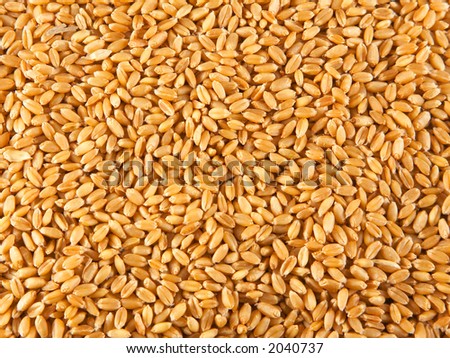 Wheats And Grains