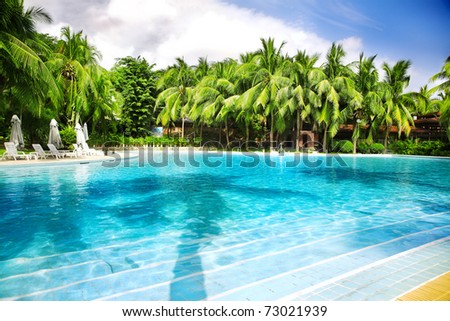 swimming pool with coconut tree and white umbrella