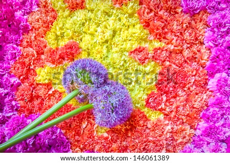 background of tightly bunched flowers and floral pom-pom drum beaters