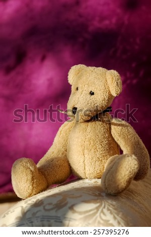 small soft toy bear sitting on home furnishings